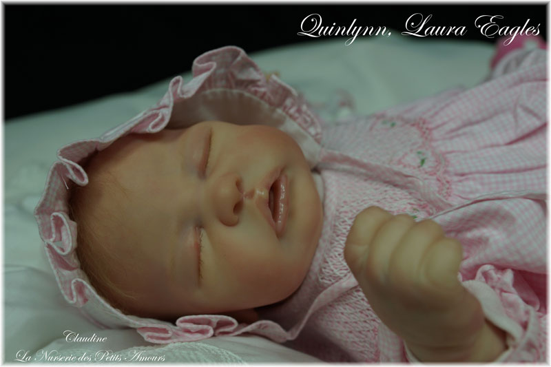 QUINLYNN DE LAURA LEE EAGLES ADOPTEE ( PORTUGAL )