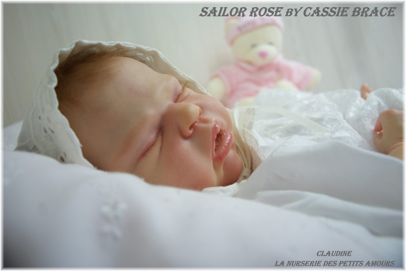 SAILOR ROSE DE CASSIE BRACE